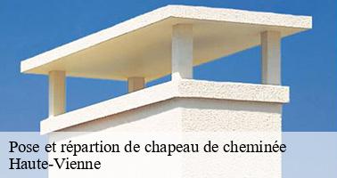 Pose et répartion de chapeau de cheminée