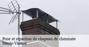 Pose et répartion de chapeau de cheminée