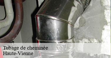 Tubage de cheminée