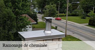 Ramonage de cheminée