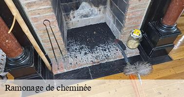 Ramonage de cheminée