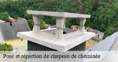 Pose et répartion de chapeau de cheminée