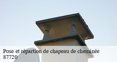 Pose et répartion de chapeau de cheminée