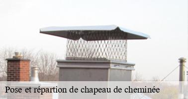 Pose et répartion de chapeau de cheminée