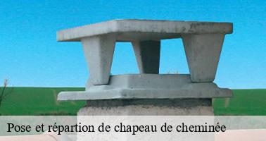 Pose et répartion de chapeau de cheminée