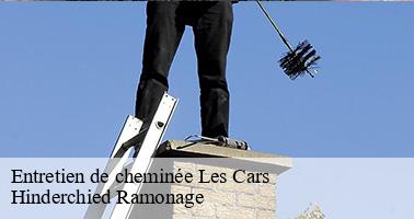 Entretien de cheminée