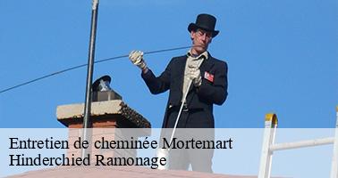 Entretien de cheminée