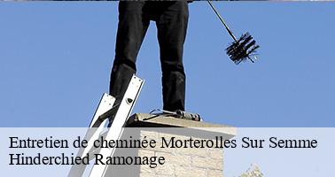 Entretien de cheminée