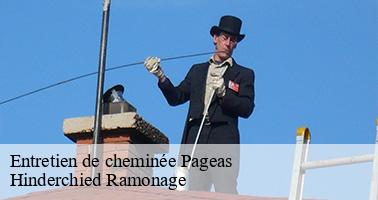 Entretien de cheminée