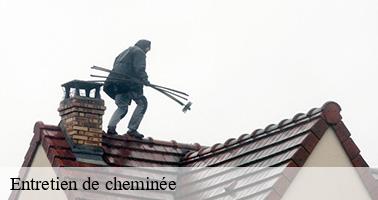 Entretien de cheminée