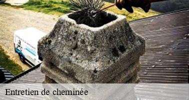 Entretien de cheminée