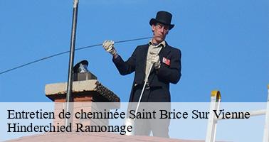 Entretien de cheminée