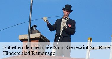 Entretien de cheminée
