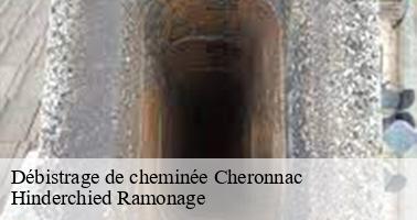 Débistrage de cheminée