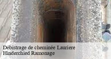 Débistrage de cheminée